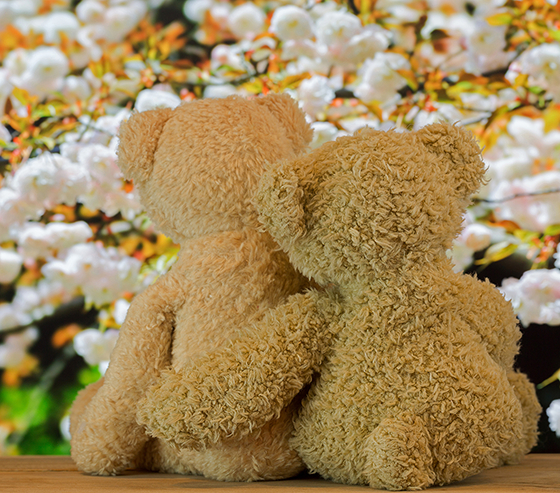 Couple de nounours